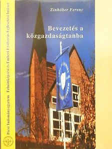 Zinhóber Ferenc - Bevezetés a közgazdaságtanba [antikvár]