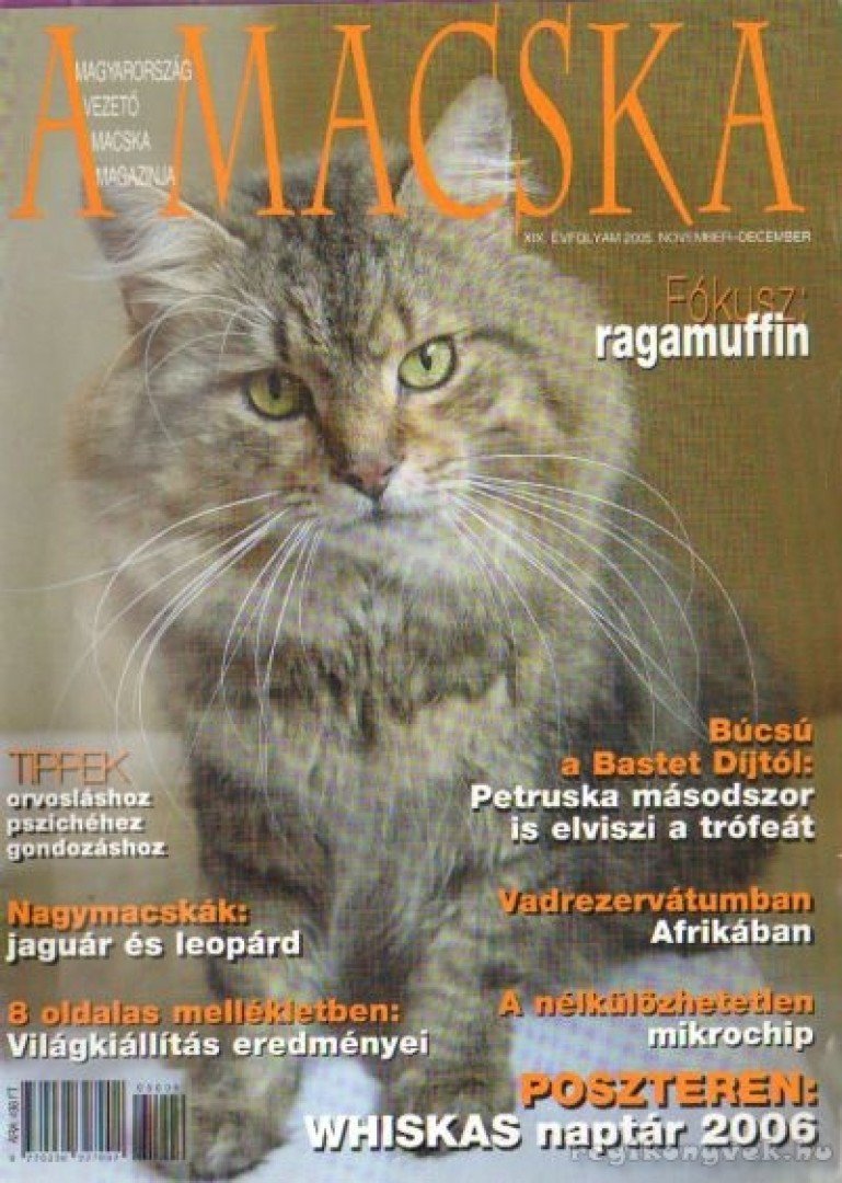 LÁSZLÓ ERIKA - A Macska 2005. november-december [antikvár]