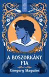 Gregory Maguire - A boszorkány fia