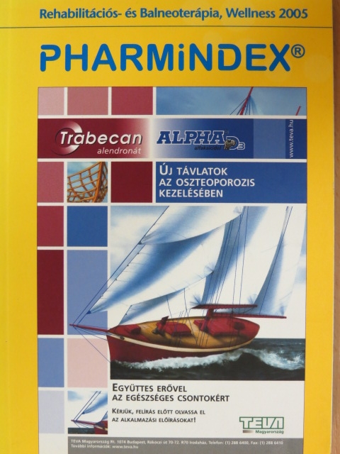 Dr. Bender Tamás - Pharmindex Rehabilitációs- és Balneoterápia, Wellness 2005 [antikvár]