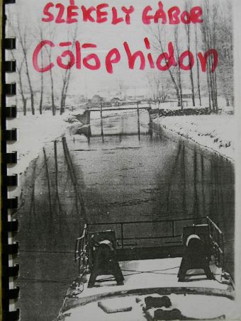Székely Gábor - Cölöphídon [antikvár]