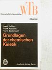 Frank Kuschel - Grundlagen der chemischen Kinetik [antikvár]