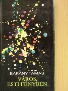 Bárány Tamás - Város, esti fényben [antikvár]