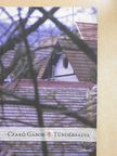 Czakó Gábor - Tündérfalva (dedikált példány) [antikvár]