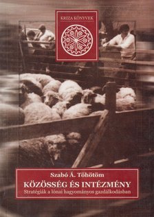 Szabó Á. Töhötöm - Közösség és intézmény [antikvár]