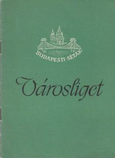 Csengeryné Nagy Zsuzsa - Városliget [antikvár]