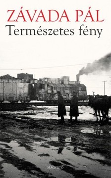 ZÁVADA PÁL - Természetes fény [eKönyv: epub, mobi]