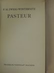 F. M. Zweig-Winternitz - Pasteur [antikvár]