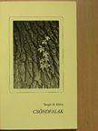 Tungli M. Klára - Csöndfalak [antikvár]