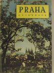 Ivan Pfaff - Praha Guide Book [antikvár]