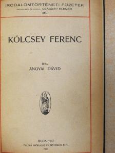 Angyal Dávid - Kölcsey Ferenc/Gróf Széchenyi István [antikvár]