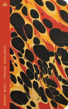 Robert Musil - Törless iskolaévei [eKönyv: epub, mobi]