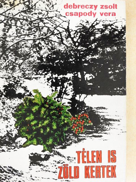 Debreczy Zsolt - Télen is zöld kertek [antikvár]