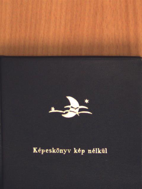 H. C. Andersen - Képeskönyv kép nélkül [antikvár]