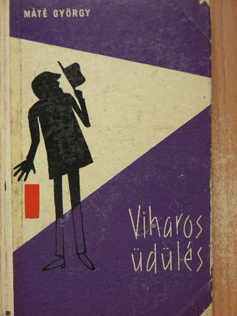 Máté György - Viharos üdülés [antikvár]