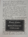 Pintér Gábor - Megpihent csillag [antikvár]