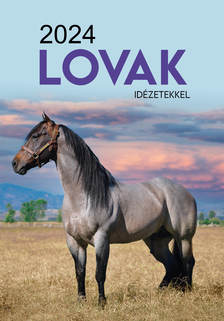 Naptár - Lovak idézetekkel 2024