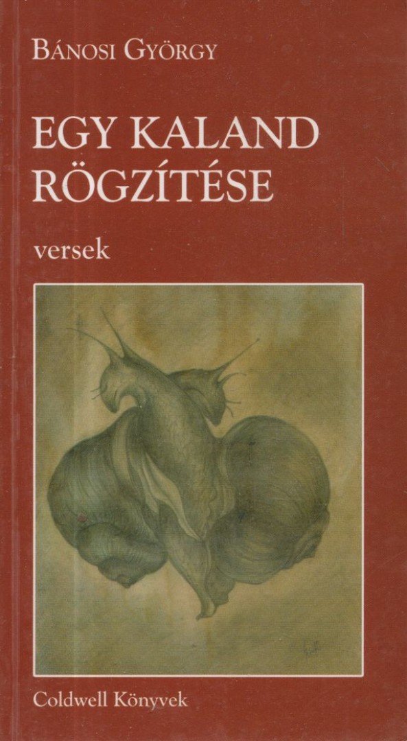 Bánosi György - Egy kaland rögzítése [antikvár]