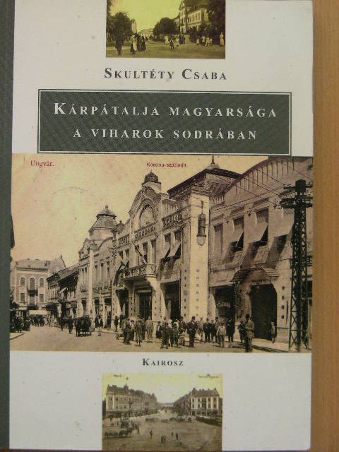 Skultéty Csaba - Kárpátalja magyarsága a viharok sodrában [antikvár]