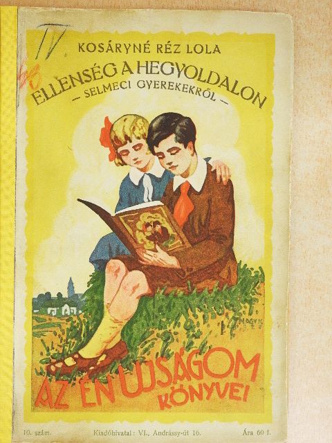 Kosáryné Réz Lola - Ellenség a hegyoldalon [antikvár]