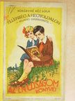 Kosáryné Réz Lola - Ellenség a hegyoldalon [antikvár]