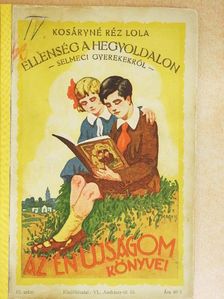 Kosáryné Réz Lola - Ellenség a hegyoldalon [antikvár]