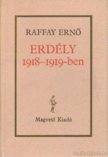 Raffay Ernő - Erdély 1918-1919-ben [antikvár]