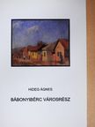 Hideg Ágnes - Bábonyibérc városrész [antikvár]