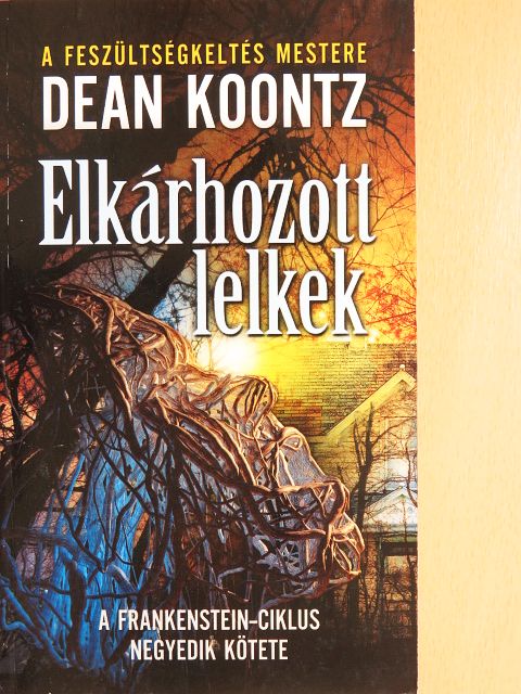 Dean Koontz - Elkárhozott lelkek [antikvár]