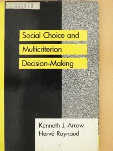 Hervé Raynaud - Social Choice and Multicriterion Decision-Making [antikvár]