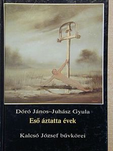 Bereczky Zsolt - Eső áztatta évek [antikvár]