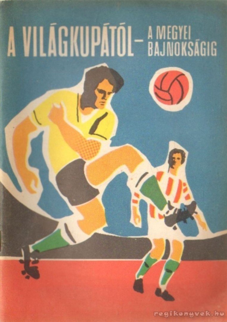 A világkupától-a megyei bajnokságig [antikvár]