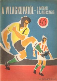 A világkupától-a megyei bajnokságig [antikvár]