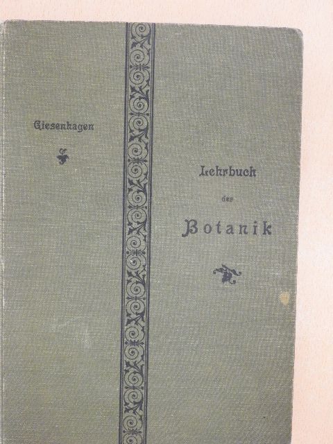 Dr. K. Giesenhagen - Lehrbuch der Botanik [antikvár]