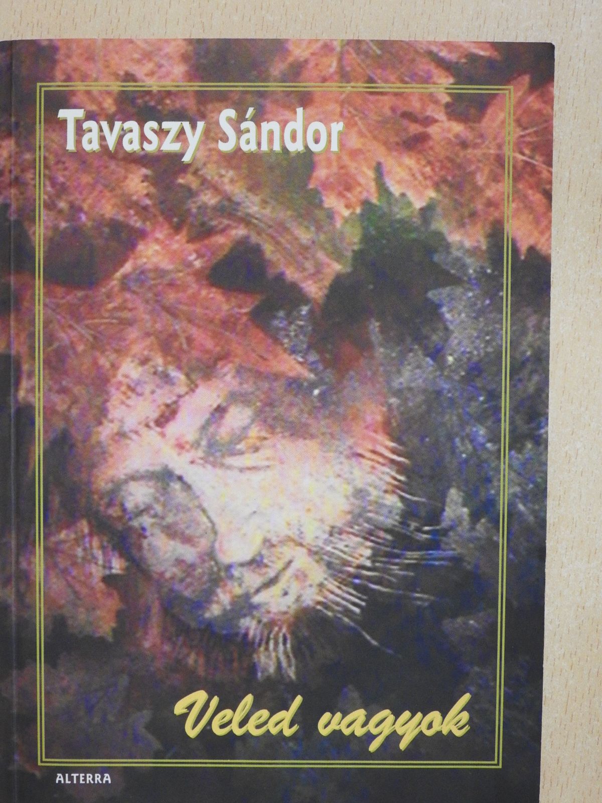 Tavaszy Sándor - Veled vagyok (dedikált példány) [antikvár]