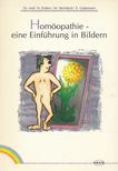 Dr. med. N. Enders, Steinbeck, Maria, Gottsmann, Eberhard - Homöopathie - eine Einführung in Bildern [antikvár]