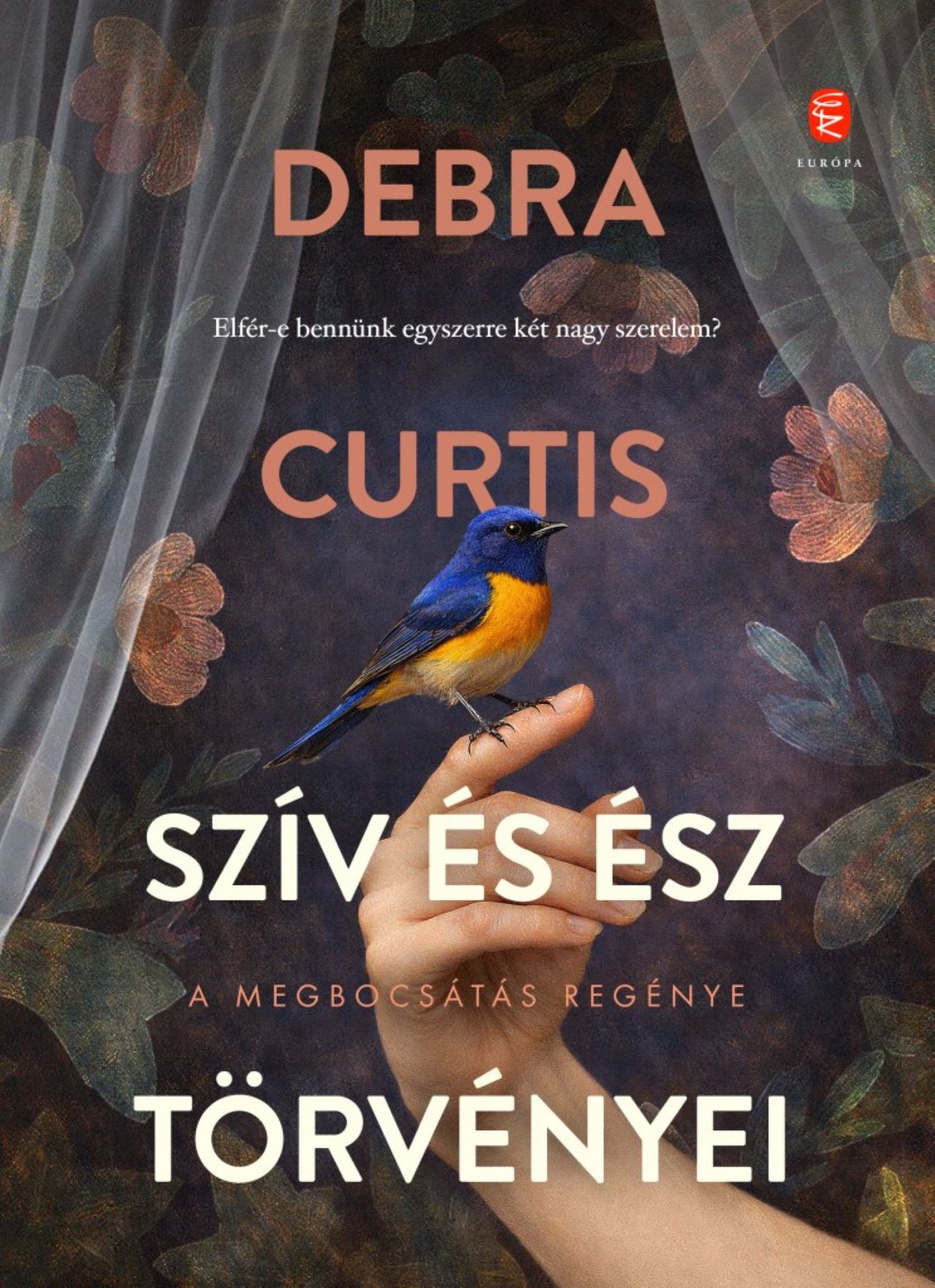 Curtis Debra - Szív és ész törvényei
