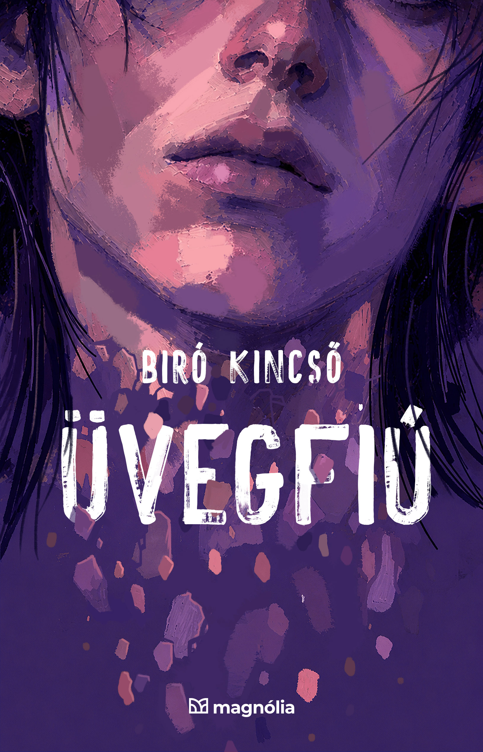 Biró Kincső - Üvegfiú [eKönyv: epub, mobi]