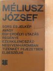 Méliusz József - Sors és jelkép [antikvár]