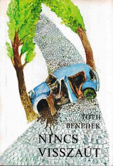 Tóth Benedek - Nincs visszaút [antikvár]