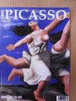 Picasso Museum [antikvár]