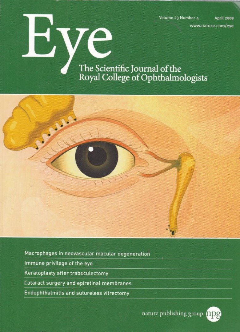 Eye 2009/4 [antikvár]