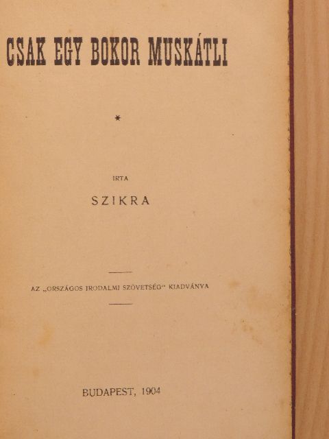 Szikra - Csak egy bokor muskátli [antikvár]
