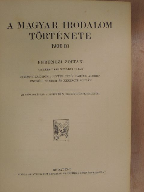 Endrődi Sándor - A magyar irodalom története 1900-ig [antikvár]