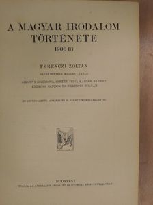 Endrődi Sándor - A magyar irodalom története 1900-ig [antikvár]