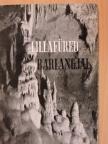 Dr. Kessler Hubert - Lillafüred barlangjai [antikvár]