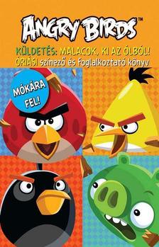 Angry Birds - Angry Birds óriási színező és foglalkoztató könyv - Küldetés: Malacok ki az ólból!