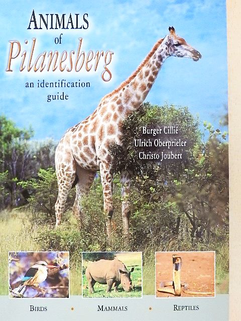 Burger Cillié - Animals of Pilanesberg [antikvár]