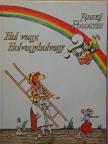 Ragyij Pogogyin - Hol vagy, Holvagyholvagy? [antikvár]