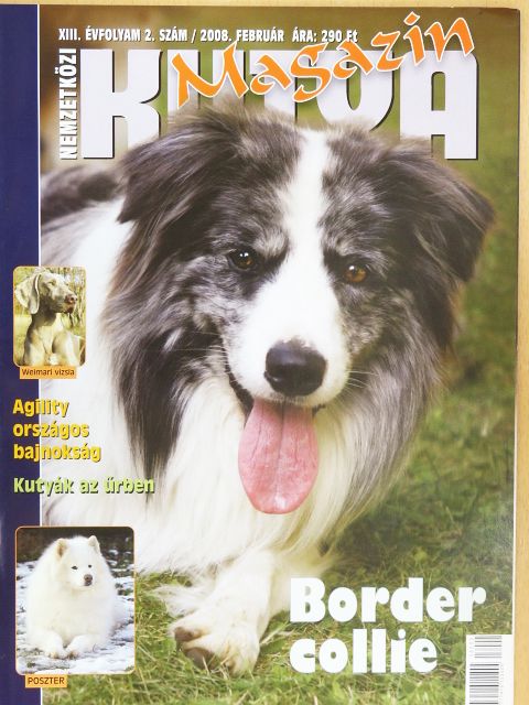 Nemzetközi Kutya Magazin 2008. február [antikvár]